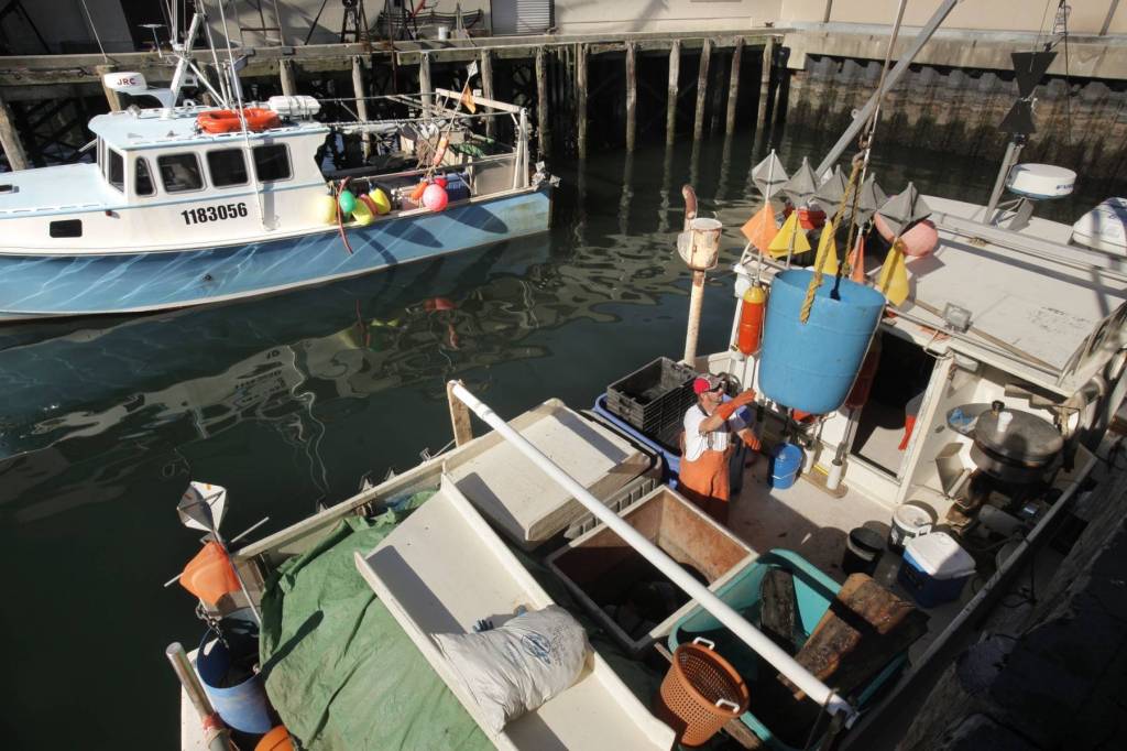 A fisherman offloads pollock, hake and cod from the Gretchen Marie at the Portland Fish Pier. To help New England fishermen compensate for reduced catch limits for groundfish, federal regulators have proposed reopening some fishing areas.