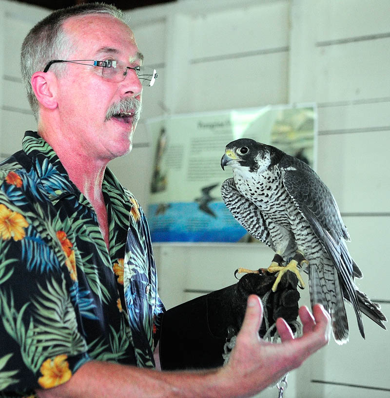 Falconer Larry Barnes talks about a Peale's peregrine falcon that he hunts ducks with in the winter, during a talk on Saturday in the boat house at the Steve Powell Wildlife Management Area of Swan Island, between Richmond and Dresden.
