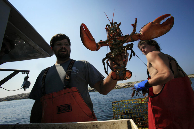 A coalition of Maine business and environmental groups say pollutants and warming ocean water threaten Maine's lobster industry.
