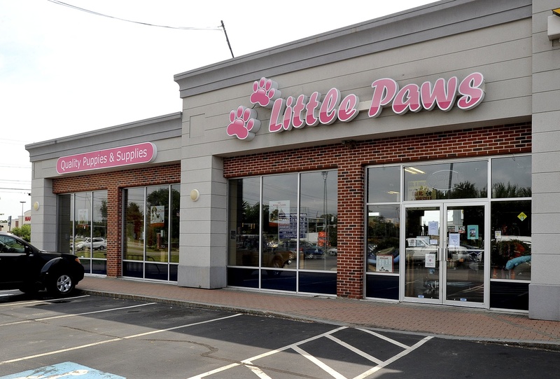 A quarantine in late July was the second this year at Little Paws. During the quarantine, the store was allowed to remain open but could not sell any puppies.