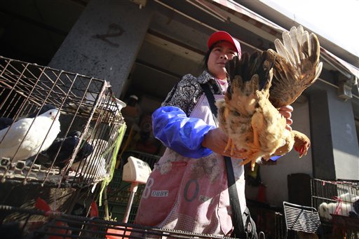 A vender holds a chicken at a wholesale market in Shanghai, China, in this in this April 2013 photo. Chinese scientists have found the strongest evidence yet that a new bird flu strain is sometimes able to spread from person to person.