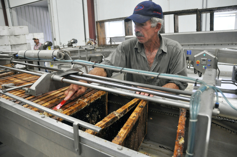 Jaime Garcia scrapes honey off a frame at the Adee Honey Farms plant in Bruce, S.D., on Tuesday. Honey extractors in South Dakota and the eastern part of North Dakota say cool summer temperatures over the past month have slowed production.