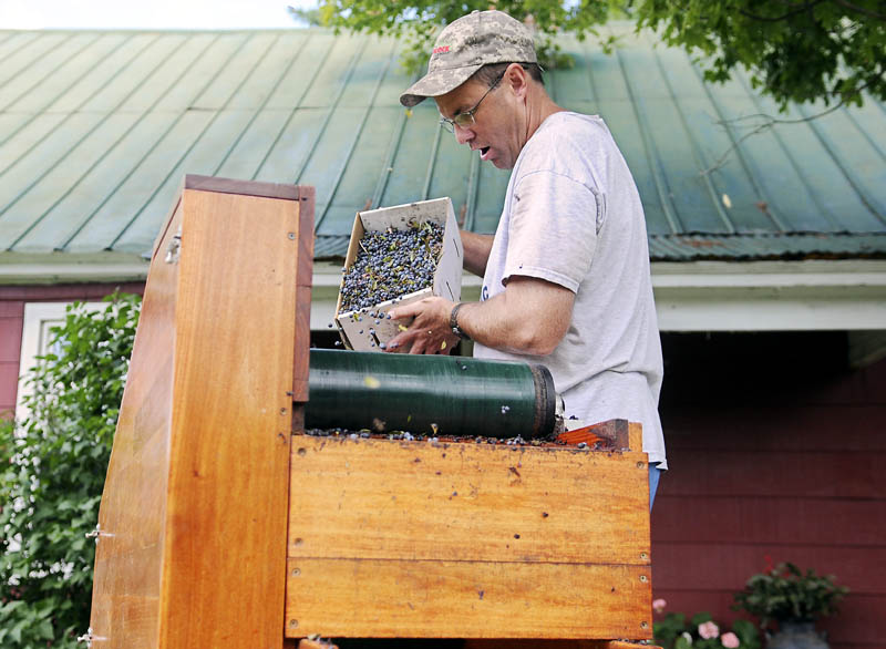 John Kohtala pours blueberries into a winnower that his wife, Amy, packs on Aug. 11, in the yard of Kohtala Blueberry Farm in Vienna. "We cultivate them, we rake them, we winnow them and we sell them," John Kohtala said of the late-summer endeavor by three generations of the family.