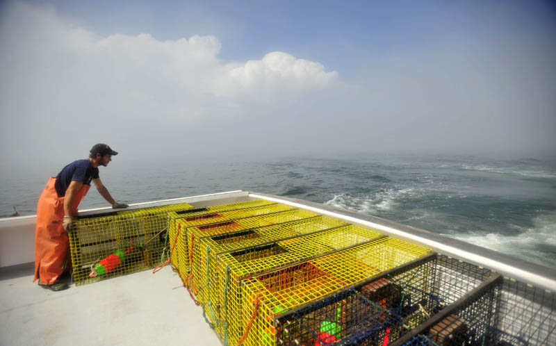 Carl Hayes, 18, stacks lobster traps on the back of his uncle's lobster boat, Overkill, on July 24. Jim Wotton, the captain and owner of the Overkill, picked up 50 traps to set further out in the ocean.
