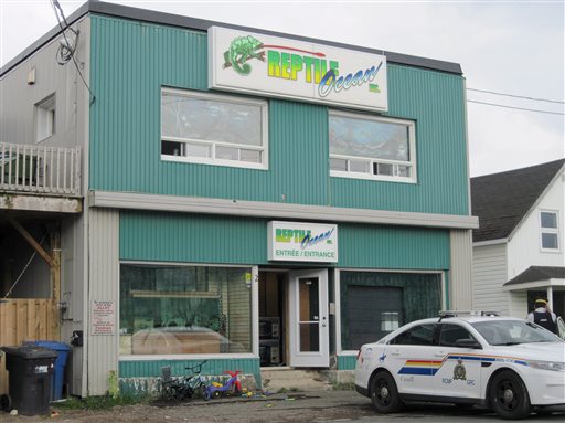 Police are treating the fatal python attack in the apartment above the Reptile Ocean exotic pet store in Campbellton, New Brunswick, as a criminal investigation.
