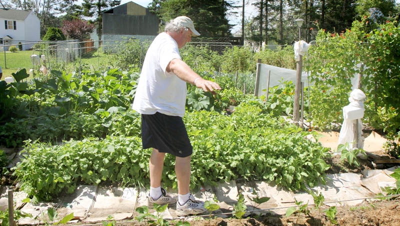 Visually impaired gardener Deon Lyons, of Clinton, carefully walks down a row before picking garlic on Wednesday at a garden he and David Perry, of Waterville, have cultivated in Fairfield.