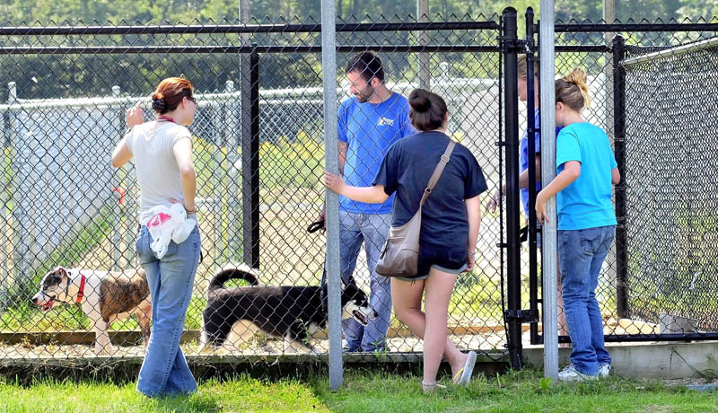 Staff and visitors congregate at an outside dog kennel at the Humane Society Waterville Area today.