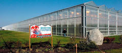 Shawn Belsower, an employee at Backyard Farms in Madison, walks past the facility's greenhouse in 2007. The company expanded that greenhouse in 2012. Backyard Farms recently announced it needed to destroy its crop for a third time this year, which will result in employee furloughs and no crop this year.