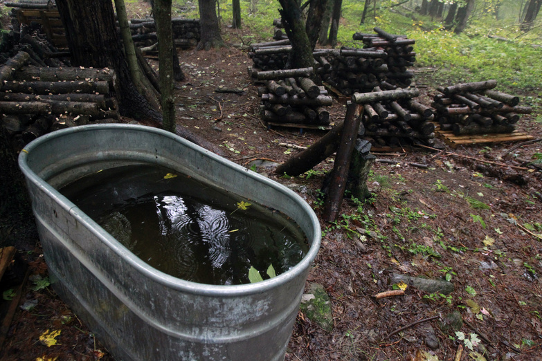 A water tank is used in the cultivation of shiitake mushrooms in Shrewsbury, Vt.