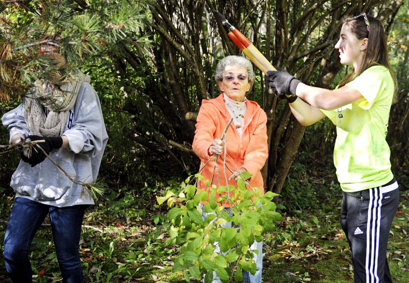 Hall-Dale High School students Shanay Gilbert, right, and Anna Harrigan help Dresden homeowner Doris Swasey clip a bush today during the school's Day of Caring. Students were dispatched to help elderly residents clean up and repair their homes as part of the annual event.