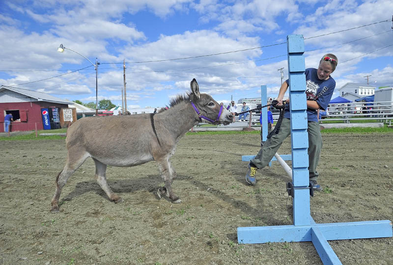 Thomas Bickfords, 13, of Clinton, attempts to coerce a mini-donkey named Maggie over the gate as they practice for the jumping portion of the donkey and mule show at the Clinton Lions Agricultural Fair on Friday.