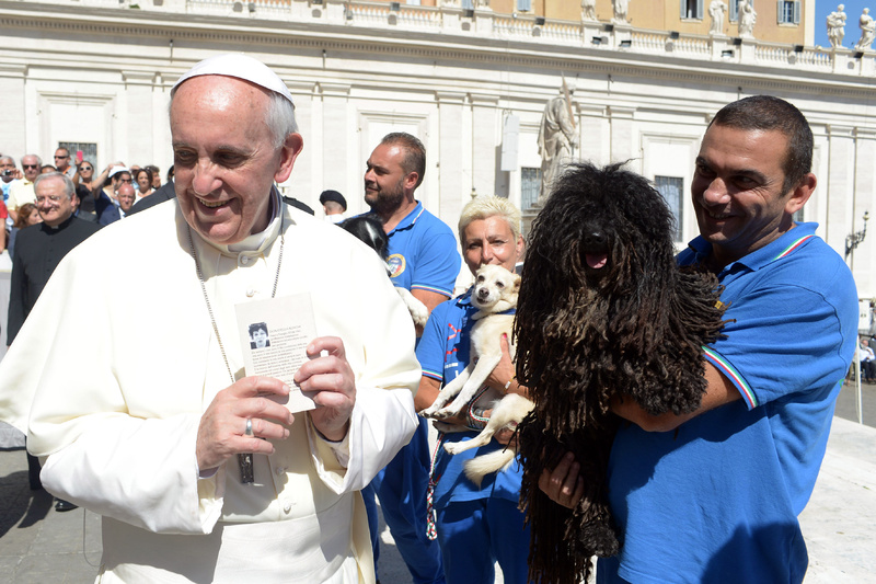 Pope Francis is shown a dog by a member of the Italian Federation of Canine Sports following his weekly general audience at the Vatican on Wednesday.