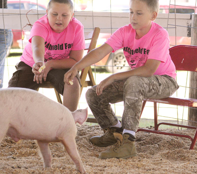 Gabe Stinson, left, and Cameron Ridley try to encourage their pigs towards the finish line with string cheese treats during the pig race on Friday at the Litchfield Fair. The fair runs through Sunday and the fairgrounds are located near the intersection of Hallowell and Plains Roads.
