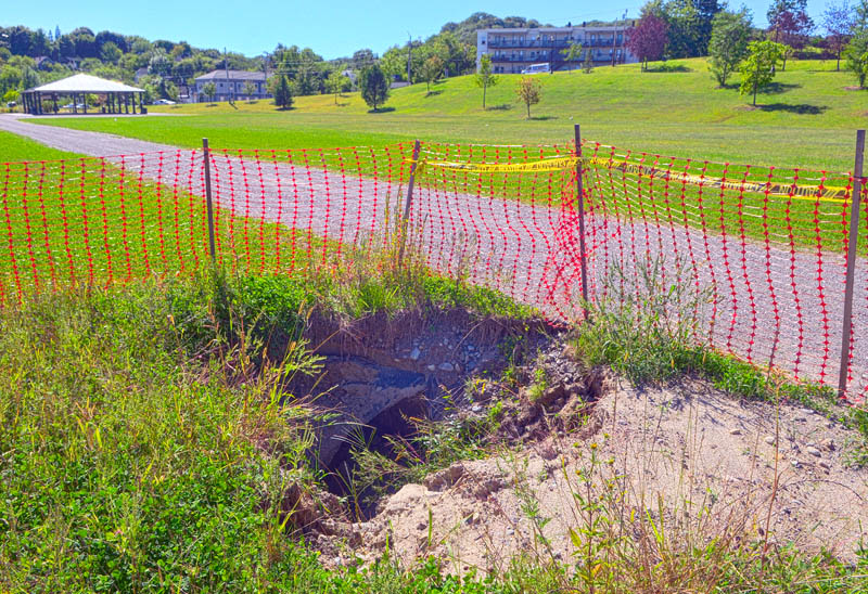 One of two sinkholes at Mill Park in Augusta.