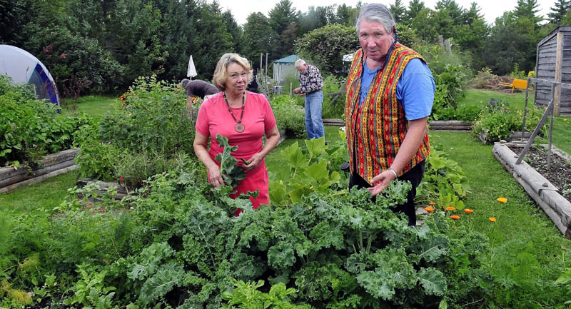 Connie Bellet, center, president of the Living Communities Foundation, and husband Phil Frizzell work in the Palermo Community Garden near the American Legion Post 163 on Sunday. Volunteers Mike Dunn and Ron Rudolph work in background. Bellet says the Legion has threatened to turn the garden into a parking lot despite a long-time lease on the property.