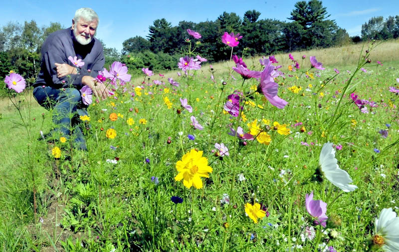 John Thomas beside one of four flower gardens he planted at the Oakland Transfer Station. Thomas said he has not seen any monarch butterflies this summer.