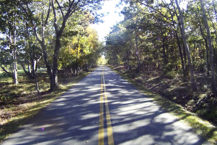 Afternoon sunlight slants through the trees lining an empty Park Loop Road in Acadia National Park on Thursday. If there is a silver lining to the government shutdown, the chance to bicycle or rollerblade along the loop road devoid of motor vehicles just might be it.