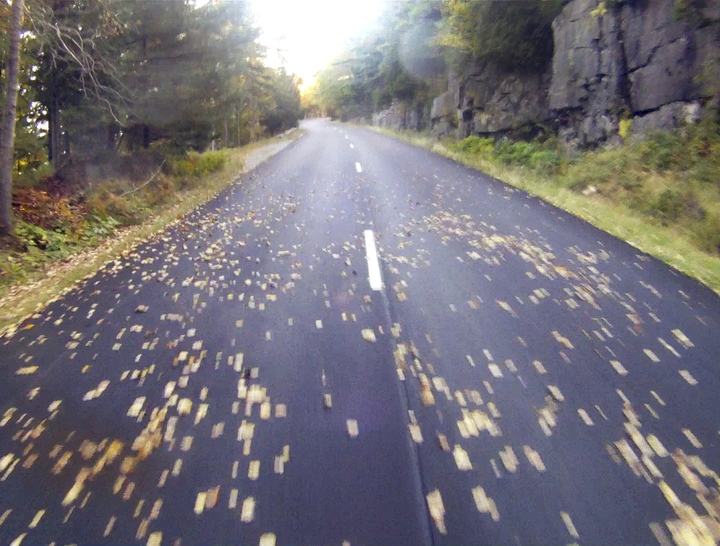 Without cars whizzing by to whisk them off, fallen leaves begin to blanket a section of the Park Loop Road in Acadia National Park on Thursday.