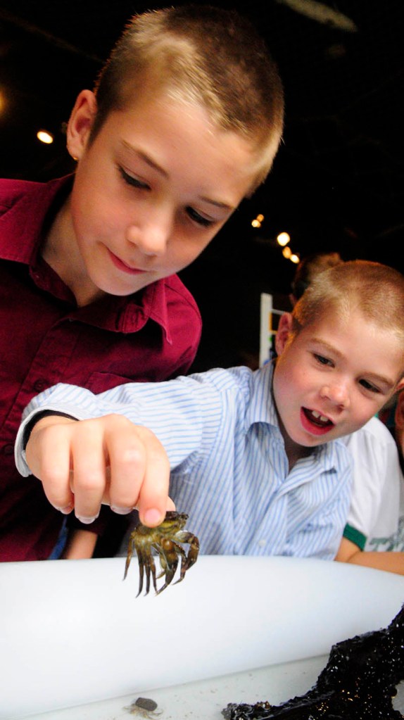 William Carey, left, and Bryce Carey look at a crab from the Coast Encounters touch tank during Earth Science Day on Wednesday at Maine State Museum in Augusta.