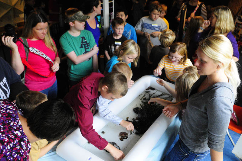 Hannah Arden, far right, talks to visitors about crabs and other things in the Coast Encounters touch tank during Earth Science Day on Wednesday at Maine State Museum in Augusta.
