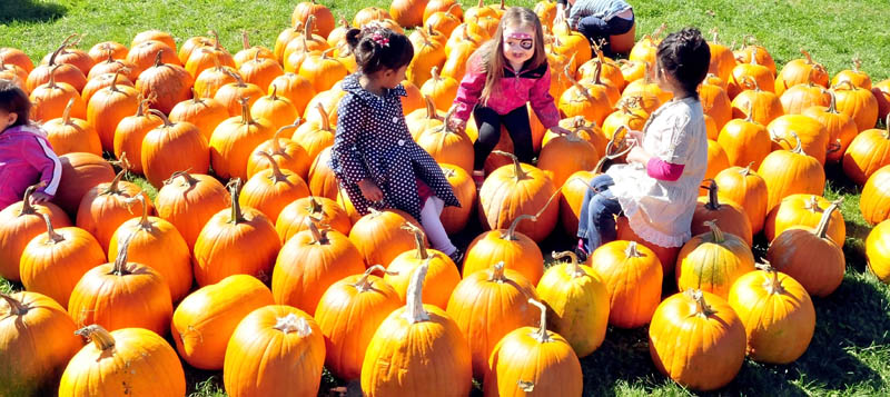 Some children, not sure which pumpkin to pick, sit in the middle of them at the Harvest Fest in Waterville on Sunday. From left are Thresia Reddy, Claire Cooley and Angel Kyalsin.