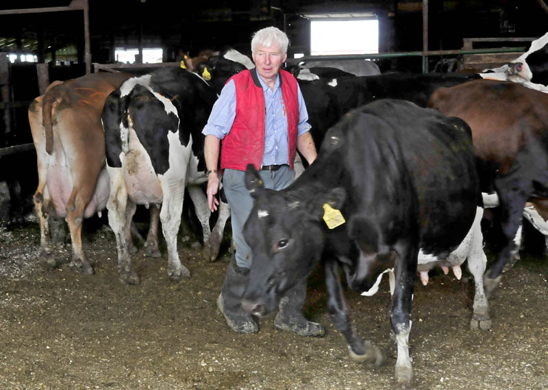 Dairyman Egide Dostie said he is selling his milk cows and will now raise cattle for meat. His dairy herd was auctioned at his Fairfield farm this week.