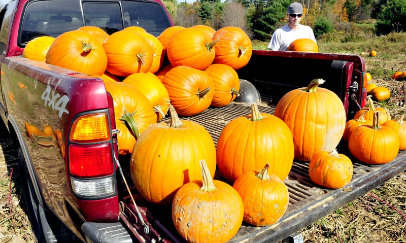 Jake Bragg loads into a truck some of the 500 pumpkins from the Bragg family farm in Sidney that will be sold at the Apple Farm in Fairfield on Monday.