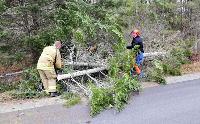 ROAD HAZARD: Oakland firefighter Anthony Thibodeau, left, and Capt. Dave Groder cut and move a tree that fell and blocked part of the East Pond Road in Oakland due to the strong winds on Sunday, Nov. 24, 2013. Groder said there were numerous reports of fallen trees and downed power lines in Belgrade and Somerset County.