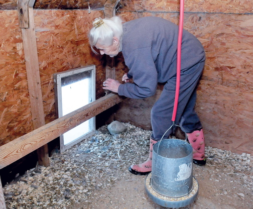 RATS: Jean Mosher inspects the work she did to plug a hole that she said rats made in a wooden wall to get into her chicken house at her home in Smithfield.
