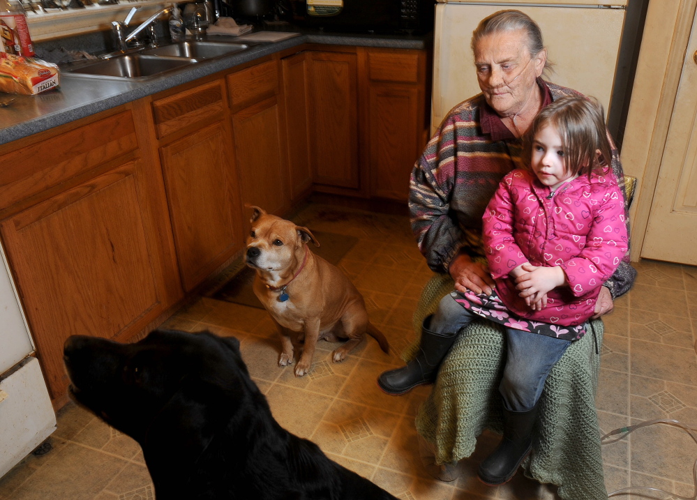Best friends: Wealthy Shaw, 75, sits with her great-granddaughter Mikayla Call, 3, and two dogs in her son’s kitchen in Palmyra on Friday. Shaw is in hospice care and receives extra help with care for her pets Buddy, a 9-year-old black Lab and Rusty, a pit bull mix.