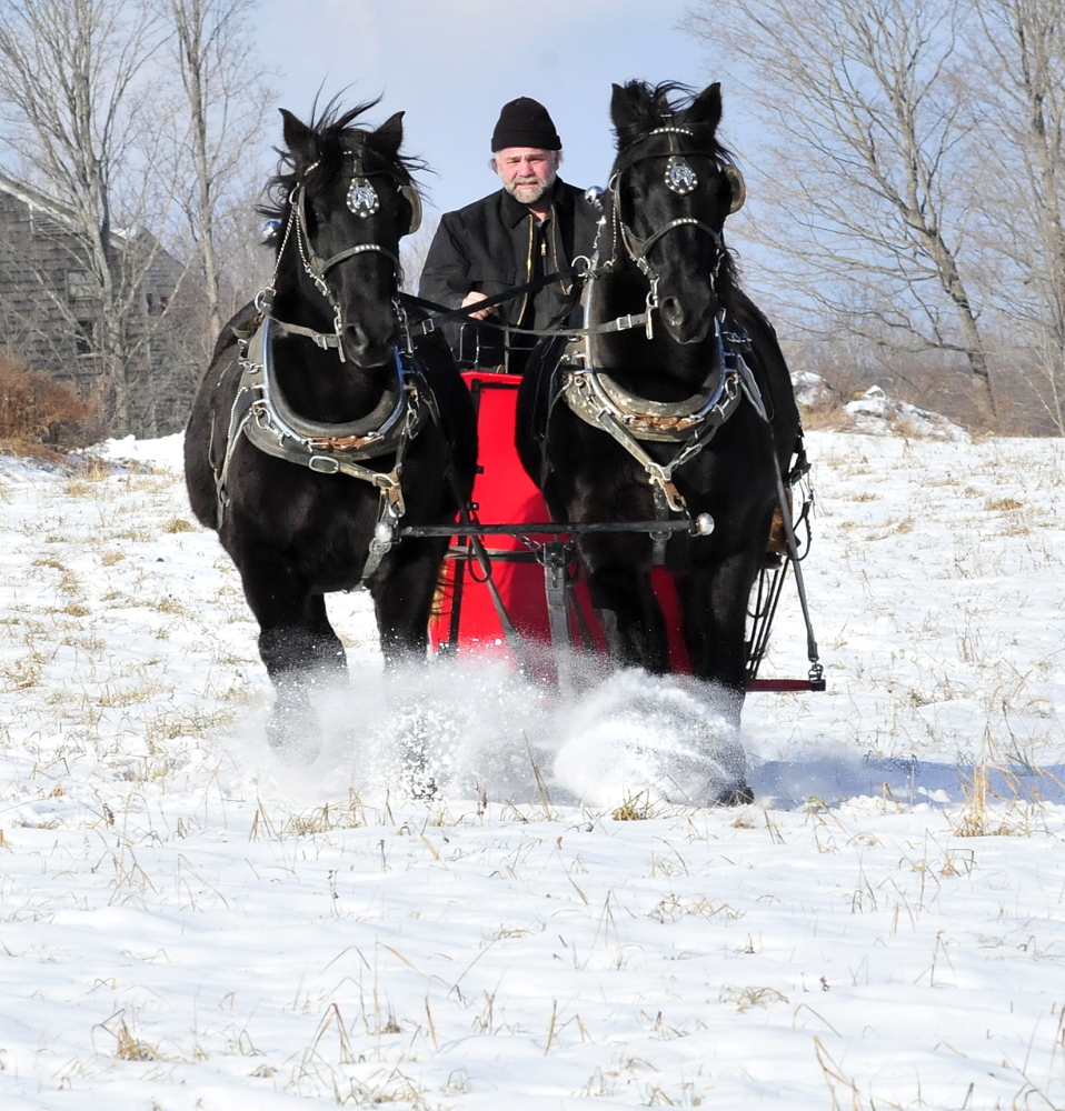 GIDDY-UP: Steve Lemieux and his horses Hector and Tinoir go for a sleigh ride in a field at his home in Fairfield recently.