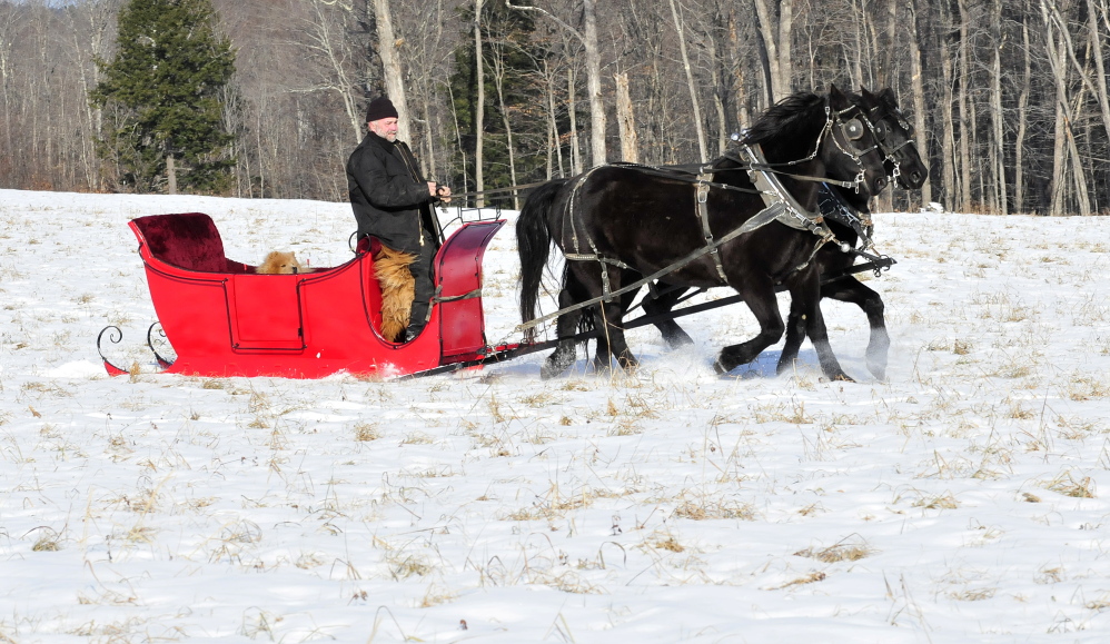 OVER HILL AND DALE: Steve Lemieux, his horses and dogs get some exercise in a sleigh at his farm in Fairfield.