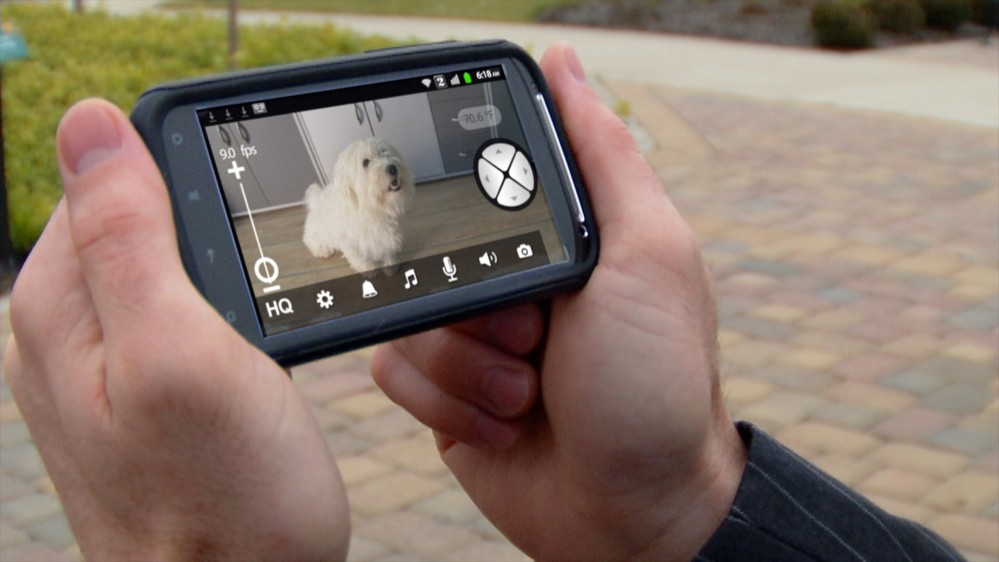 Here’s a view displayed by Motorola’s Scout1 Wi-Fi Pet Monitor, a gadget that lets pet lovers keep an eye on their pets while they’re away.