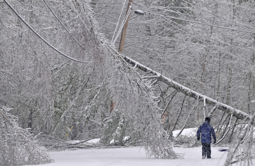 ICY RECOVERY: Karen Gibbs walks through a labyrinth of icy broken trees and downed power lines to her home on Maplehurst Road in Belgrade on Thursday, Dec. 26, 2013. Residents of Maplehurst Road have been without power since Monday.