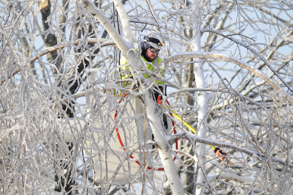 THANKS: An Asplundh Tree Expert Co. arborist trims frozen limbs Friday near a power line in Hallowell. Several hundred out-of-state electrical and tree workers have been assisting Central Maine Power in Kennebec County and across the state.