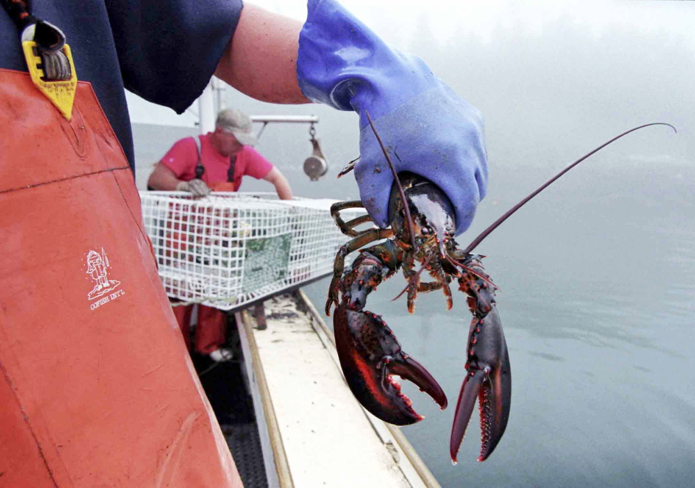 A sternman holds a lobster caught off South Bristol. America's commercial fishing fleet and seafood dealers favor a trade agreement because Asia is a booming market.