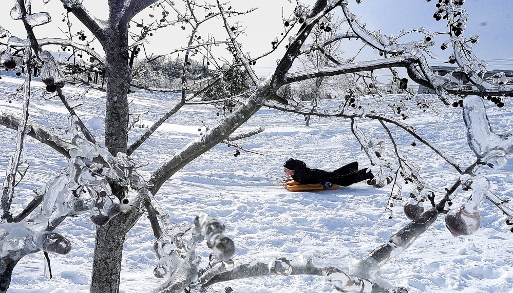 ICED OVER: Limbs — still iced over from last week’s ice storm — frame Dayton Dinsmore as he sleds at Mill Park on Tuesday in Augusta. Besides the sledding hill, there are also two ice rinks in the city park on Northern Avenue at the base of Sand Hill.