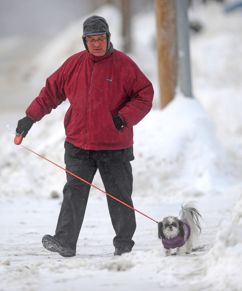 COLD FEET: Paul Marquis walks his three-year old shih tzu, Isabella Rose, along Gilman Street in Waterville on Thursday. Marquis said the cold weather has cut his walk of three miles a day to one. “Her feet can’t handle the cold on days like this,” he said.