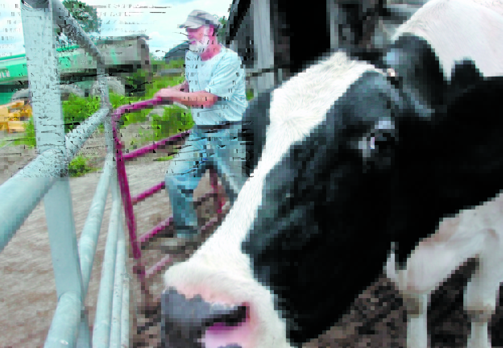 FARMER: Pittsfield Dairy farmer Walter Fletcher is one of the area farmers who have been helped by the Maine Farmland Trust, which raises money to keep farmland in the hands of farmers.