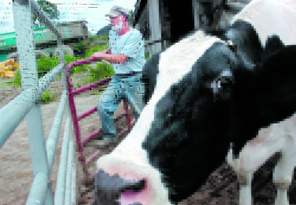 FARMER: Pittsfield Dairy farmer Walter Fletcher is one of the area farmers who have been helped by the Maine Farmland Trust, which raises money to keep farmland in the hands of farmers.