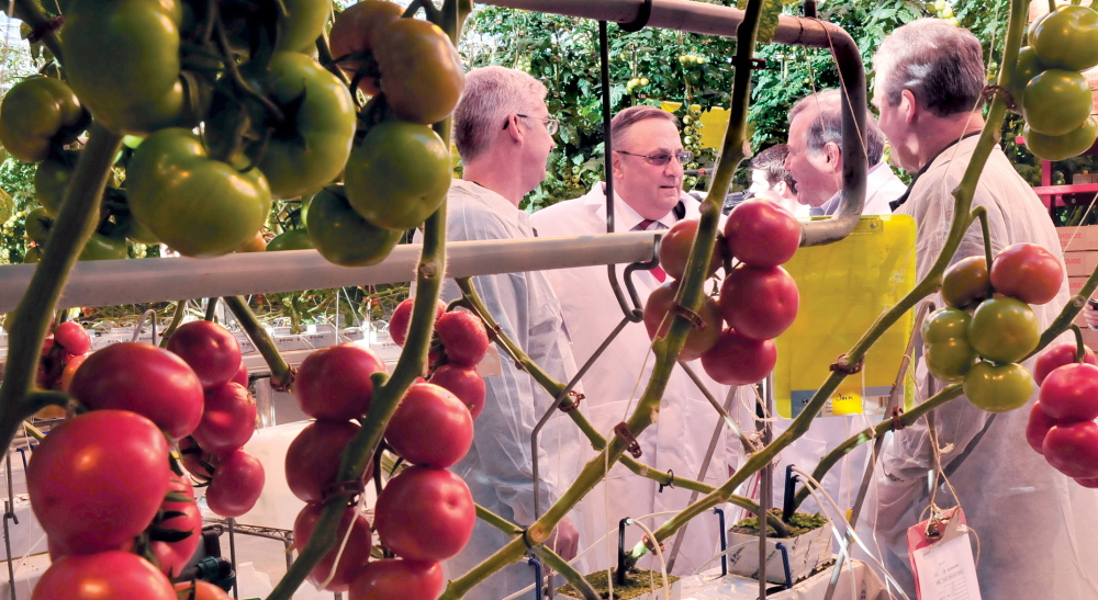 BACK IN BUSINESS: Gov. Paul LePage, second from left, toured Backyard Farms greenhouse in Madison along with company officials, vendors and municipal leaders on Wednesday. From left are company Vice President of Sales and Marketing Tim Cunnliff, LePage, company President and CEO Paul Mucci and head of Growing Operations Arie vander Giessen.