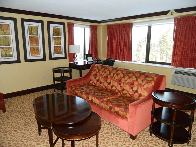 Living room area in the suite