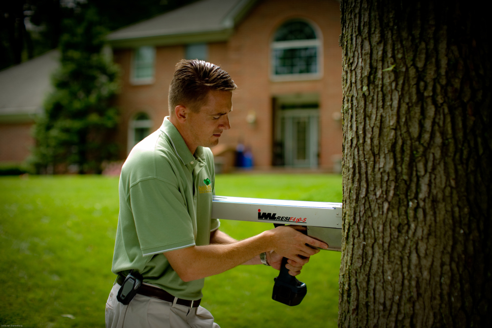 A SavATree arborist uses a resistograph to detect tree decay, which can help determine a tree’s stability.