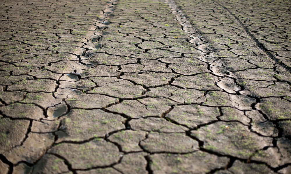 Tire tracks run across the dry bottom of the Morse Reservoir in Cicero, Ind., in 2012. “Extreme weather events are a massive risk to agriculture,” said Peter Kendall, president of the British National Farmers Union, who raises almost 4,000 cares of grain crops in Bedfordshire, England.