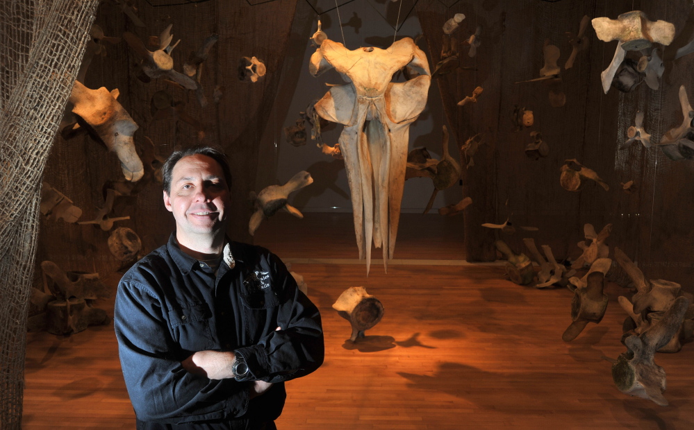 A REAL SKELETON CREW: Dan DenDanto stands with his whale bone exhibit Friday in the Flex Space at the Emery Community Arts Center at the University of Maine at Farmington. The exhibit, which DenDanto and his brother Frank created, features native whales from the Gulf of Maine. Visitors are encouraged to touch and move pieces in the hands-on exhibit.