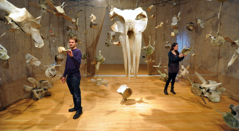 AMID THE BONES: University of Maine at Farmington students Josh Rose, 22, and Emily Sirianni, 19, inspect whale bones on display Friday in the Flex Space at the Emery Community Arts Center at the University of Maine at Farmington. The exhibit includes the bones of whales native to the Gulf of Maine. Visitors are encouraged to touch and move pieces in the hands-on exhibit.