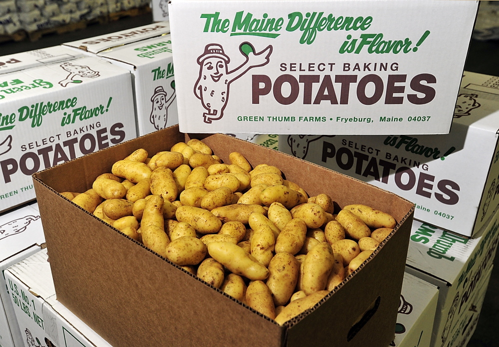 Fingerling potatoes are boxed and prepared for shipping at Green Thumb Farms.
