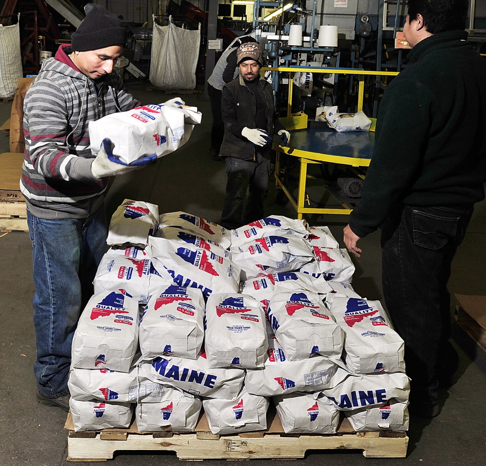 Luis Reyes, left, Salvador Herrera and Roberto Hernandez take the bags off the bagging line and stack them on a pallet at Green Thumb Farms.