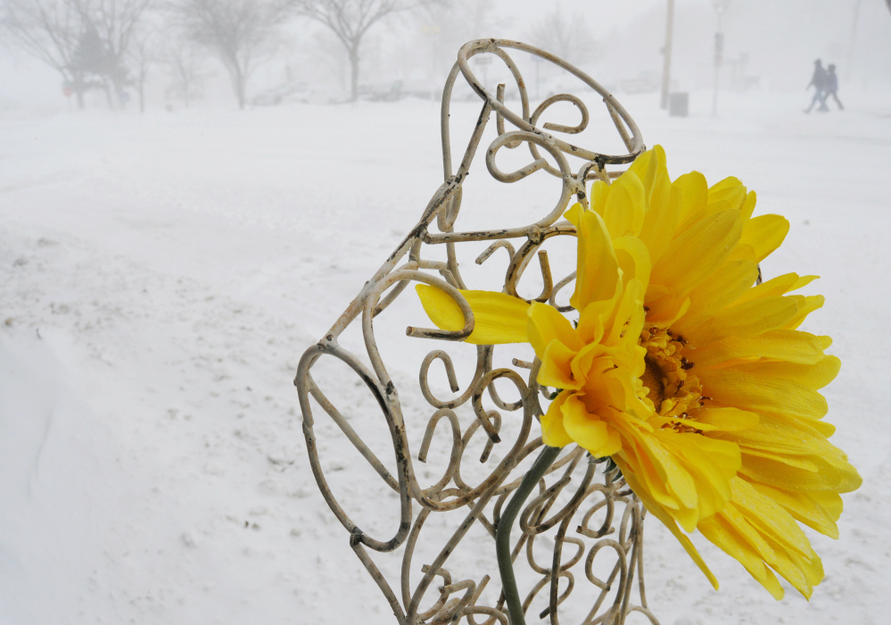 An artificial sunflower sits outside The Lazy Daisy store in downtown as snow falls in St. Joseph, Mich. on Saturday. Blowing and drifting snow covered a number of roads across parts of Michigan, stranding some motorists and prompting others to abandon their vehicles.