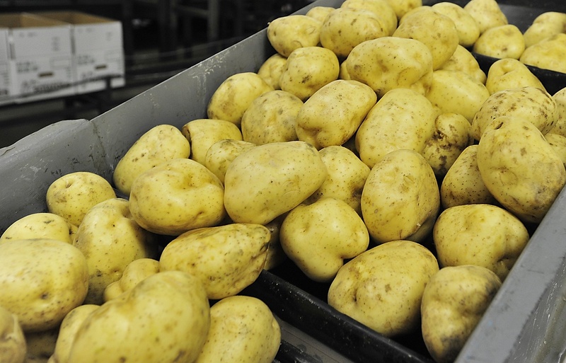 Washed white Maine potatoes are still excluded from a federal nutrition program.